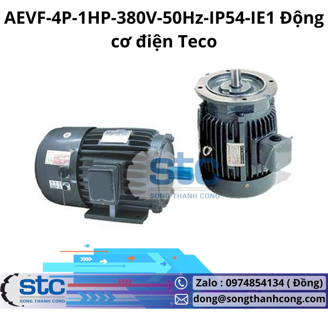 aevf-4p-1hp-380v-50hz-ip54-ie1-dong-co-dien-teco.png