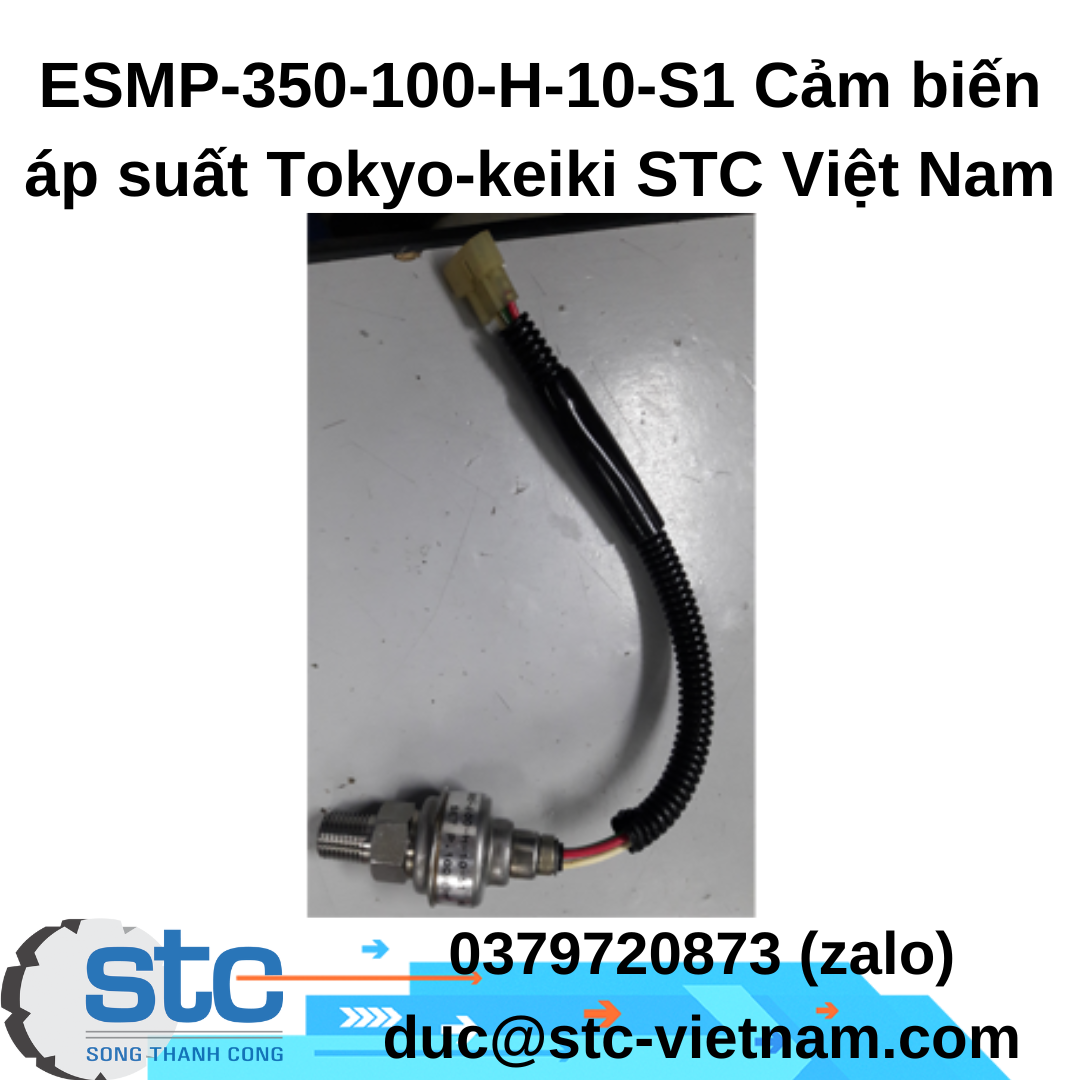 esmp-350-100-h-10-s1-cam-bien-ap-suat-tokyo-keiki.png