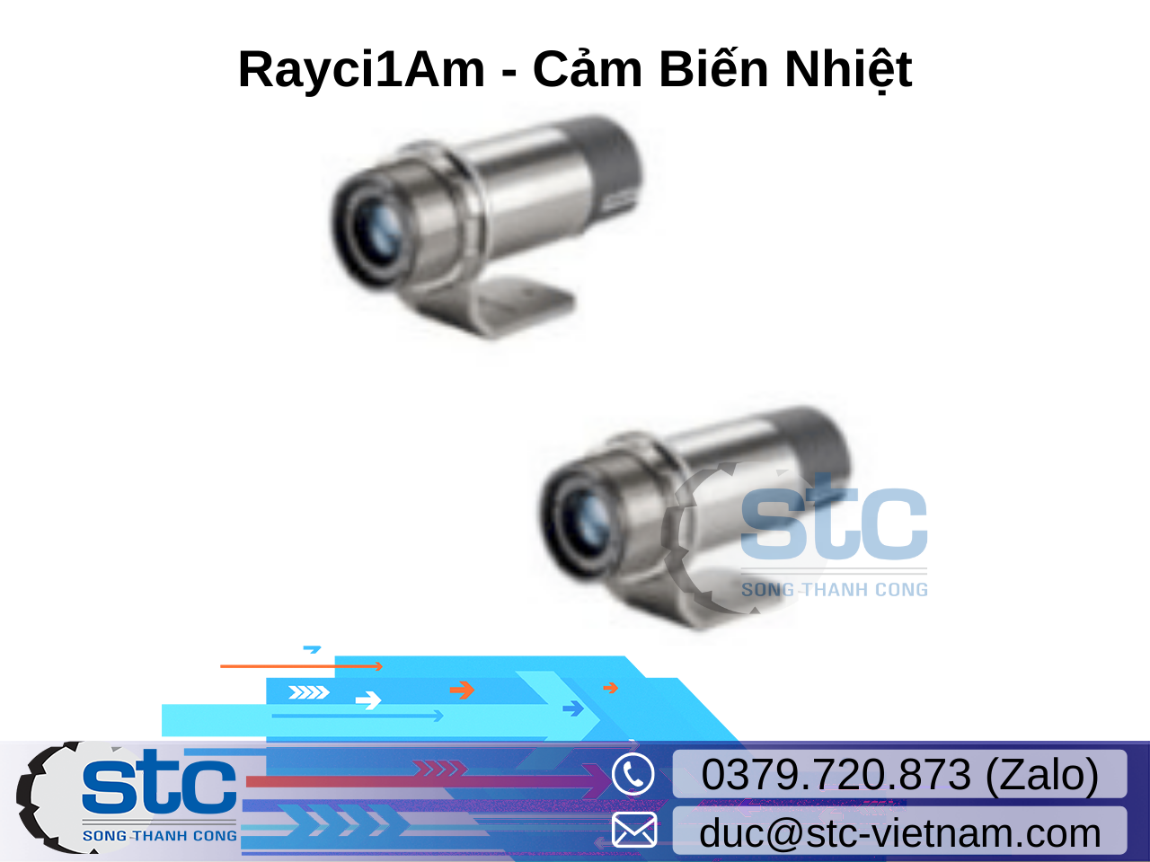 rayci1am-cam-bien-nhiet-12-24vdc-raytek-fluke-vietnam.png
