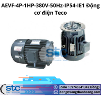 aevf-4p-1hp-380v-50hz-ip54-ie1-dong-co-dien-teco.png