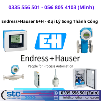 endress-hauser-e-h-dai-ly-song-thanh-cong.png