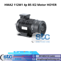 hma2-112m1-4p-b5-ie2-motor-hoyer.png