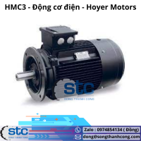hmc3-dong-co-dien-hoyer-motors.png