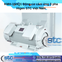 kmh-15hq1-dong-co-cam-ung-3-pha-higen.png