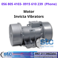 motor-invicta-vibrators.png