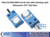 p48-110-r50-nno-2m-b-cam-bien-khoang-cach-ultrasonic.png