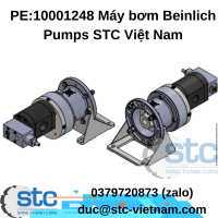 pe-10001248-may-bom-beinlich-pumps.png