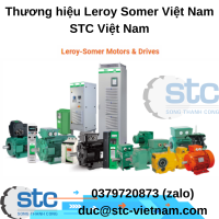 thuong-hieu-leroy-somer-viet-nam.png