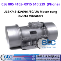 ulbk-45-42-6-01-50-ua-motor-rung-invicta-vibrators.png