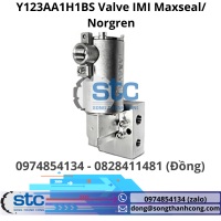 y123aa1h1bs-valve-imi-maxseal-norgren.png